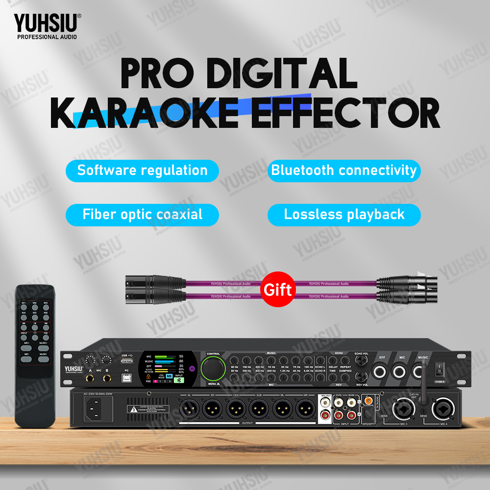 Audio Music Dj - Prosesor Efek Digital Karaoke YUHSIU, Prosesor